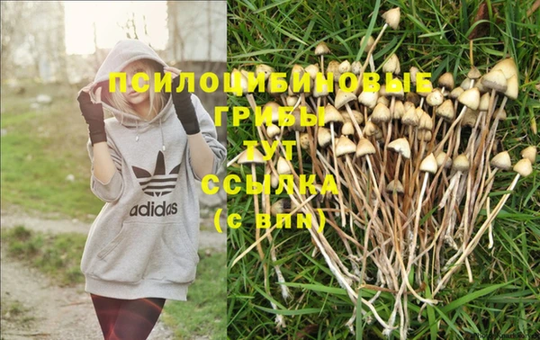 spice Балашиха