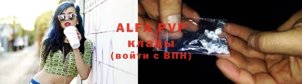 индика Беслан