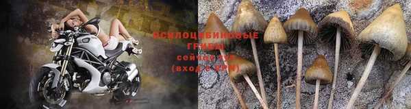jwh Ладушкин